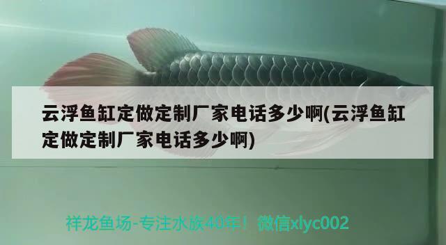 云浮魚(yú)缸定做定制廠家電話多少啊(云浮魚(yú)缸定做定制廠家電話多少啊) 定時(shí)器/自控系統(tǒng)