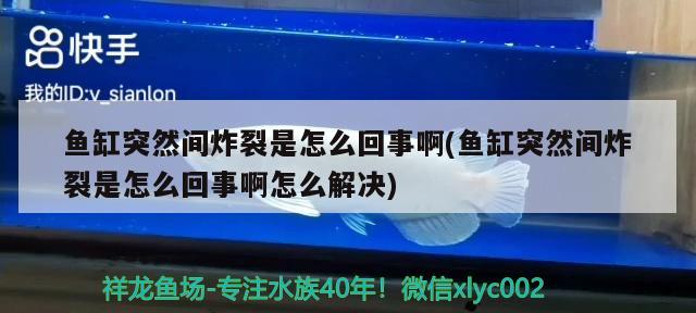 魚缸突然間炸裂是怎么回事啊(魚缸突然間炸裂是怎么回事啊怎么解決)