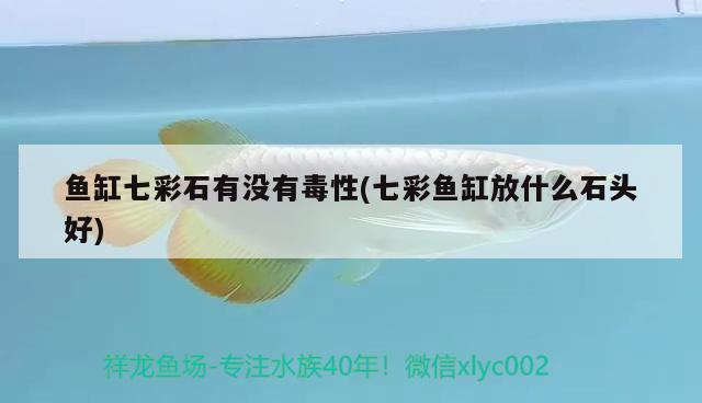 魚缸七彩石有沒有毒性(七彩魚缸放什么石頭好)