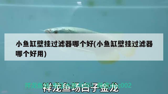 小魚缸壁掛過濾器哪個(gè)好(小魚缸壁掛過濾器哪個(gè)好用)