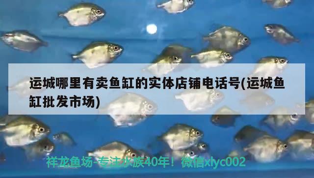 運(yùn)城哪里有賣(mài)魚(yú)缸的實(shí)體店鋪電話號(hào)(運(yùn)城魚(yú)缸批發(fā)市場(chǎng))