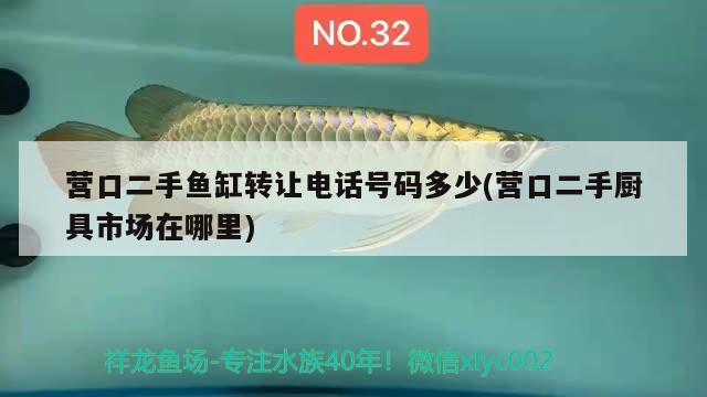 營口二手魚缸轉(zhuǎn)讓電話號碼多少(營口二手廚具市場在哪里)