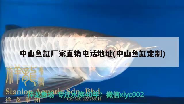 中山魚缸廠家直銷電話地址(中山魚缸定制) 新加坡號半紅龍魚（練手級紅龍魚）