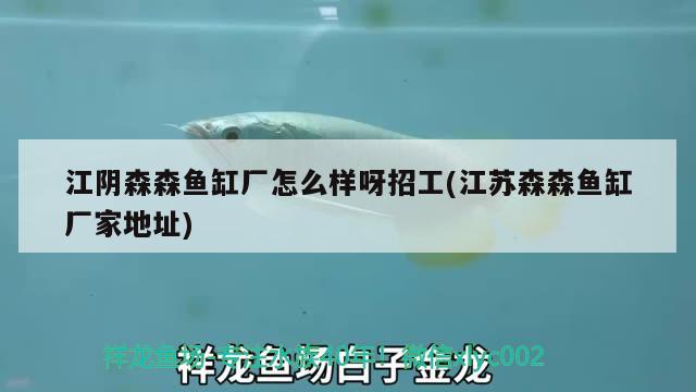 江陰森森魚缸廠怎么樣呀招工(江蘇森森魚缸廠家地址) 魚缸等水族設(shè)備