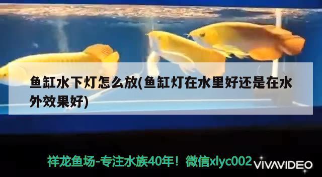 魚缸水下燈怎么放(魚缸燈在水里好還是在水外效果好) 水族維護(hù)服務(wù)（上門）