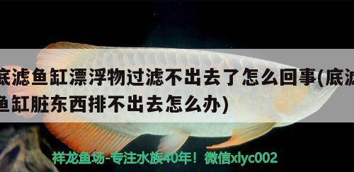 底濾魚缸漂浮物過濾不出去了怎么回事(底濾魚缸臟東西排不出去怎么辦) 賽級(jí)紅龍魚