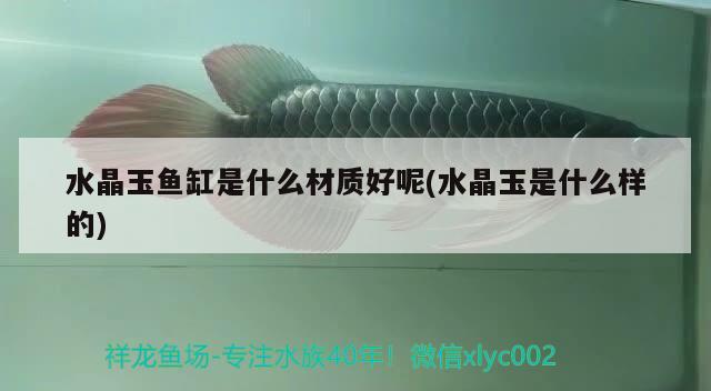 水晶玉魚缸是什么材質(zhì)好呢(水晶玉是什么樣的) 粗線銀版魚苗