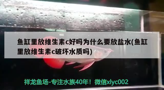 魚缸里放維生素c好嗎為什么要放鹽水(魚缸里放維生素c破壞水質嗎) 翡翠鳳凰魚