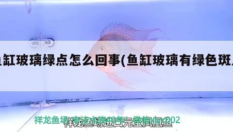 魚缸玻璃綠點怎么回事(魚缸玻璃有綠色斑點) iwish愛唯希品牌魚缸