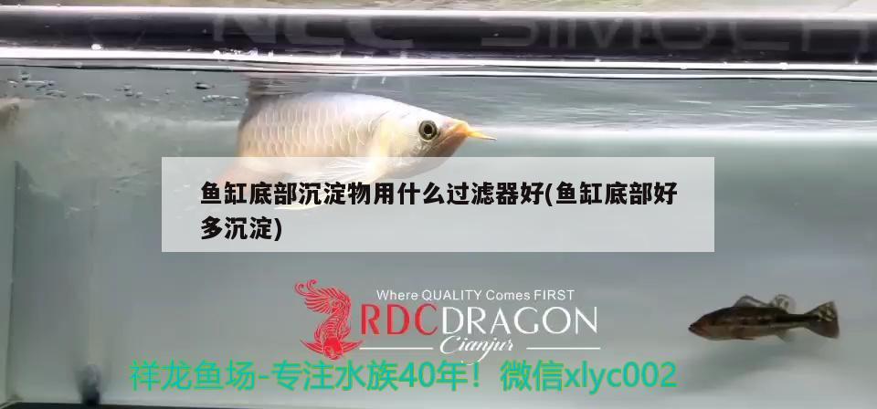 魚缸底部沉淀物用什么過濾器好(魚缸底部好多沉淀) 觀賞魚飼料