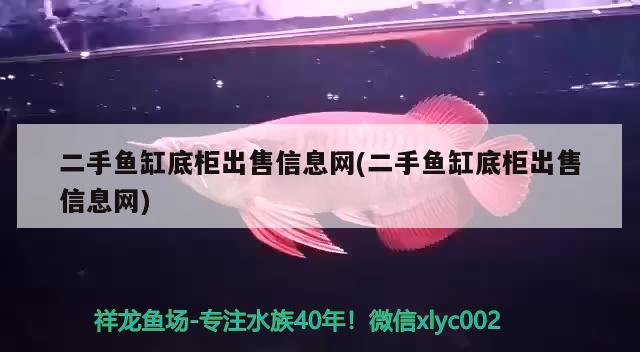 二手魚缸底柜出售信息網(wǎng)(二手魚缸底柜出售信息網(wǎng))