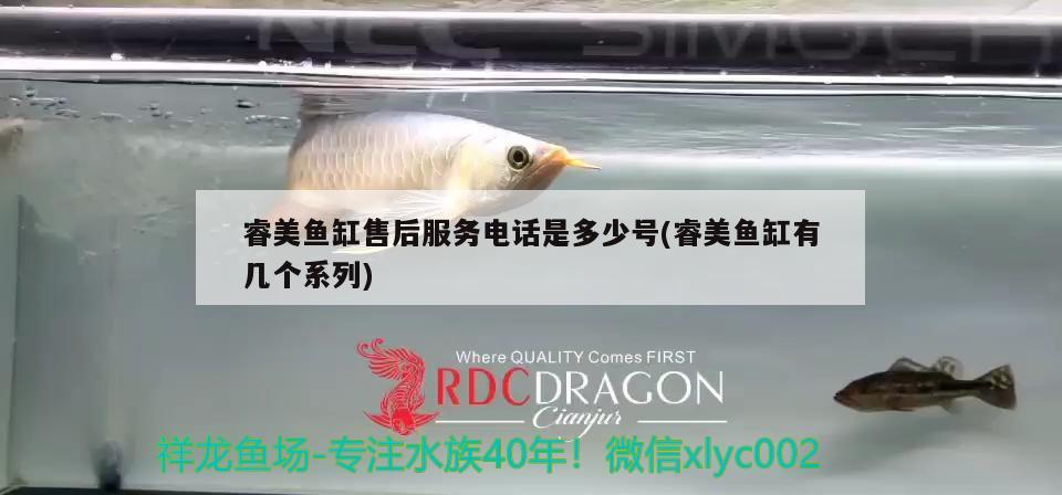 睿美魚缸售后服務電話是多少號(睿美魚缸有幾個系列) 帝王迷宮 第2張