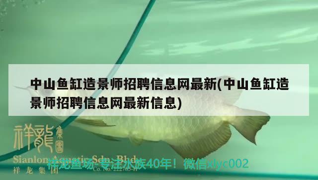 中山魚缸造景師招聘信息網最新(中山魚缸造景師招聘信息網最新信息) 充氧泵