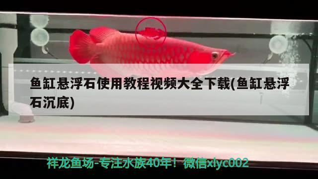 魚缸懸浮石使用教程視頻大全下載(魚缸懸浮石沉底)