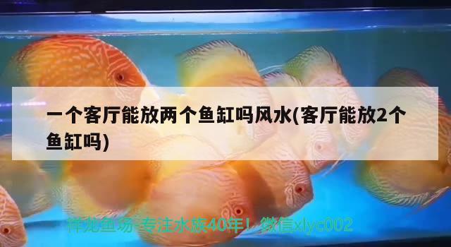 一個(gè)客廳能放兩個(gè)魚缸嗎風(fēng)水(客廳能放2個(gè)魚缸嗎) 魚缸風(fēng)水