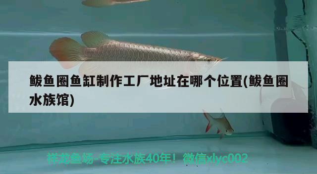 鲅魚圈魚缸制作工廠地址在哪個位置(鲅魚圈水族館) 黃金斑馬魚