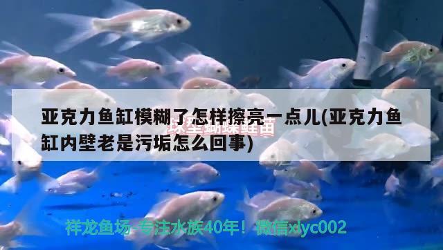 亞克力魚缸模糊了怎樣擦亮一點(diǎn)兒(亞克力魚缸內(nèi)壁老是污垢怎么回事)