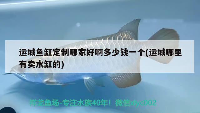 運(yùn)城魚(yú)缸定制哪家好啊多少錢(qián)一個(gè)(運(yùn)城哪里有賣(mài)水缸的)