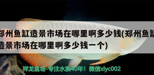 鄭州魚缸造景市場在哪里啊多少錢(鄭州魚缸造景市場在哪里啊多少錢一個)