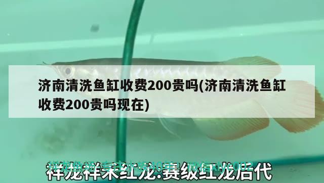 濟南清洗魚缸收費200貴嗎(濟南清洗魚缸收費200貴嗎現(xiàn)在) 肥料