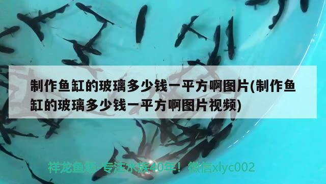 制作魚缸的玻璃多少錢一平方啊圖片(制作魚缸的玻璃多少錢一平方啊圖片視頻)