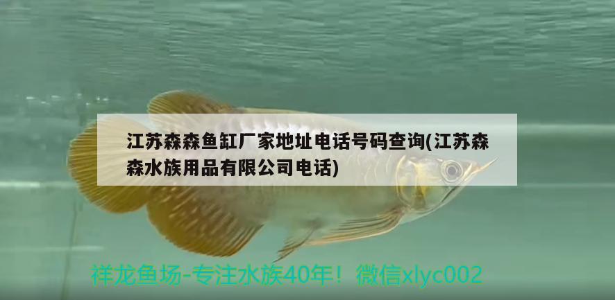 江蘇森森魚缸廠家地址電話號(hào)碼查詢(江蘇森森水族用品有限公司電話) 水族用品 第2張