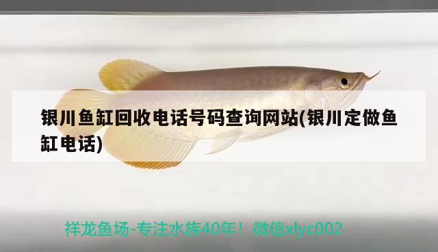 銀川魚(yú)缸回收電話號(hào)碼查詢網(wǎng)站(銀川定做魚(yú)缸電話)