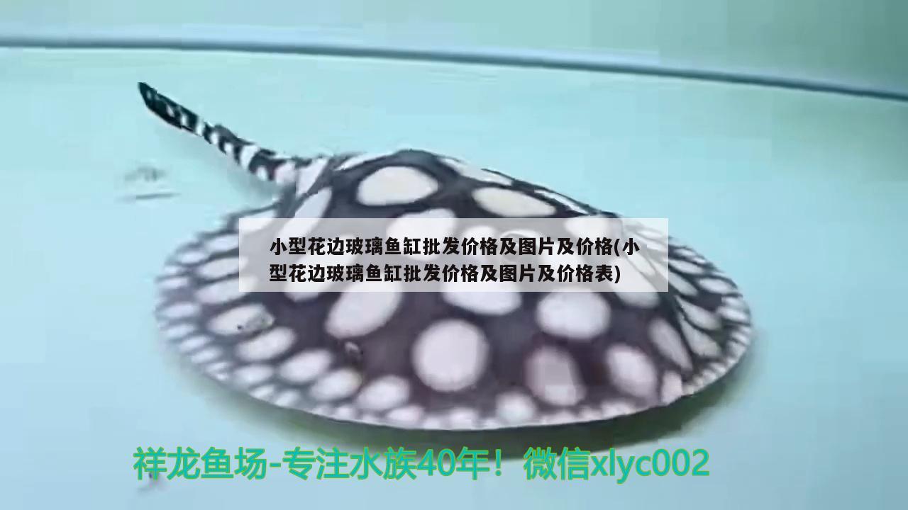 小型花邊玻璃魚缸批發(fā)價(jià)格及圖片及價(jià)格(小型花邊玻璃魚缸批發(fā)價(jià)格及圖片及價(jià)格表) 定時(shí)器/自控系統(tǒng)