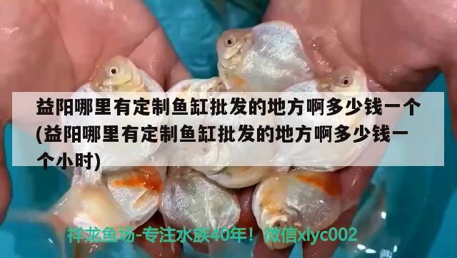 益陽哪里有定制魚缸批發(fā)的地方啊多少錢一個(益陽哪里有定制魚缸批發(fā)的地方啊多少錢一個小時) 大日玉鯖魚