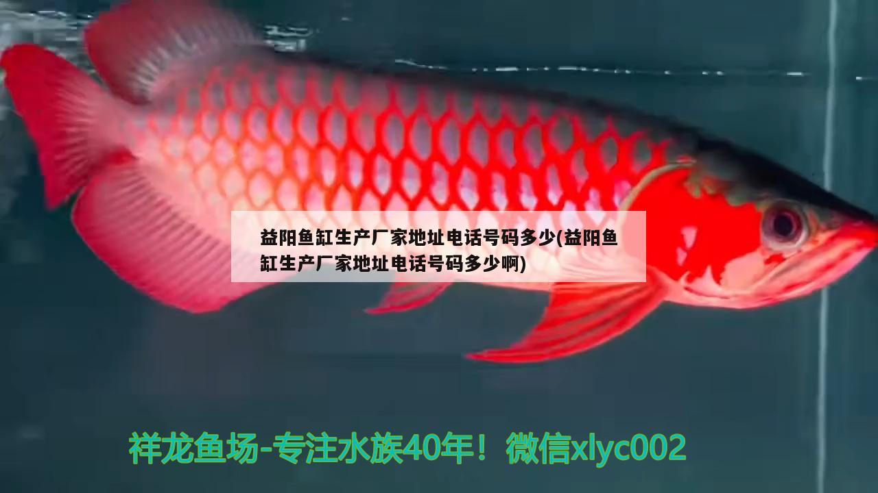 益陽魚缸生產(chǎn)廠家地址電話號(hào)碼多少(益陽魚缸生產(chǎn)廠家地址電話號(hào)碼多少啊) 三色錦鯉魚 第2張