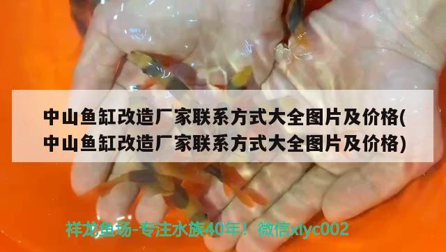 中山魚缸改造廠家聯(lián)系方式大全圖片及價格(中山魚缸改造廠家聯(lián)系方式大全圖片及價格)