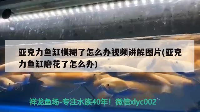 亞克力魚(yú)缸模糊了怎么辦視頻講解圖片(亞克力魚(yú)缸磨花了怎么辦)