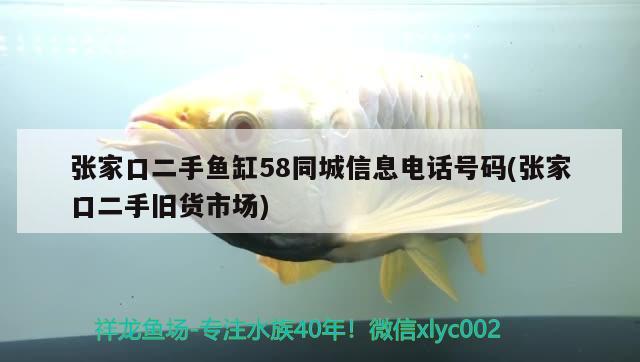 張家口二手魚缸58同城信息電話號碼(張家口二手舊貨市場)