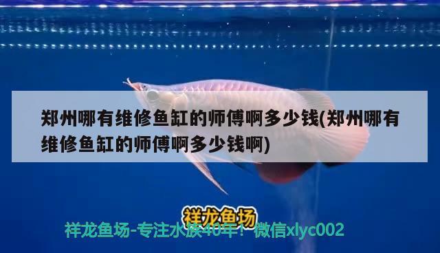 鄭州哪有維修魚缸的師傅啊多少錢(鄭州哪有維修魚缸的師傅啊多少錢啊)