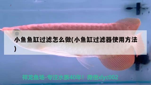 小魚魚缸過濾怎么做(小魚缸過濾器使用方法)