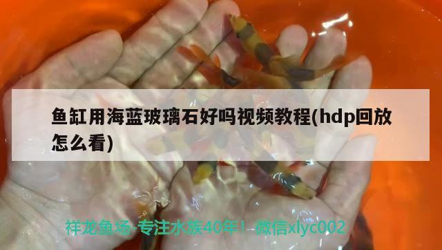 魚缸用海藍(lán)玻璃石好嗎視頻教程(hdp回放怎么看) 生態(tài)瓶/創(chuàng)意缸/桌面微景缸