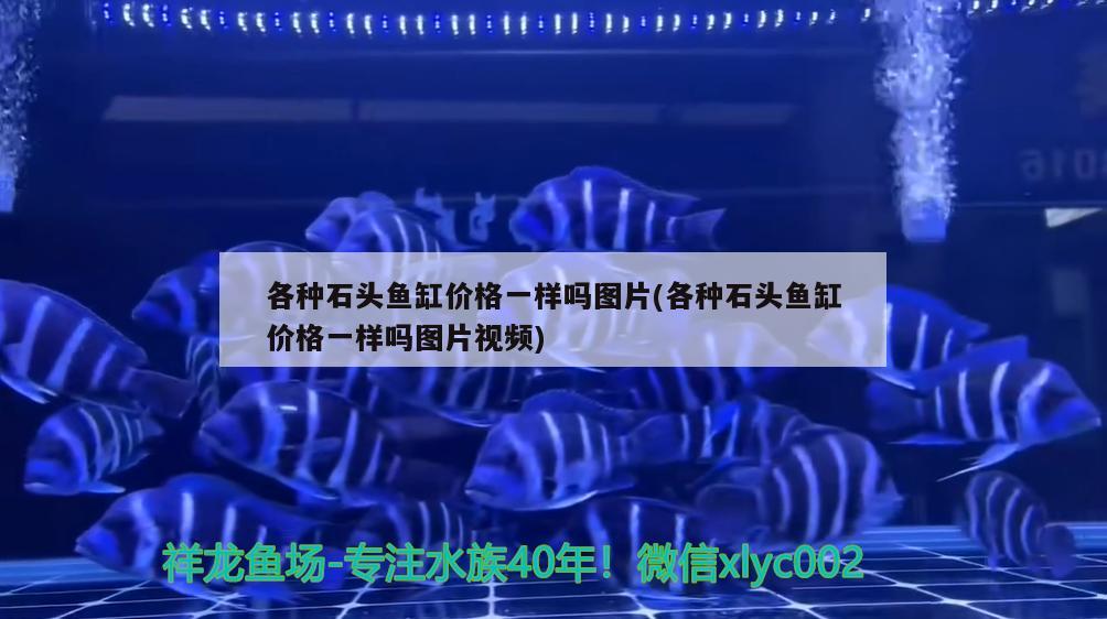 各種石頭魚缸價格一樣嗎圖片(各種石頭魚缸價格一樣嗎圖片視頻)