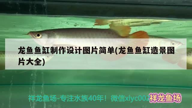 龍魚魚缸制作設計圖片簡單(龍魚魚缸造景圖片大全) 龍鳳鯉魚