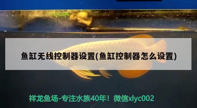 魚缸無線控制器設(shè)置(魚缸控制器怎么設(shè)置) 水族維護(hù)服務(wù)（上門）