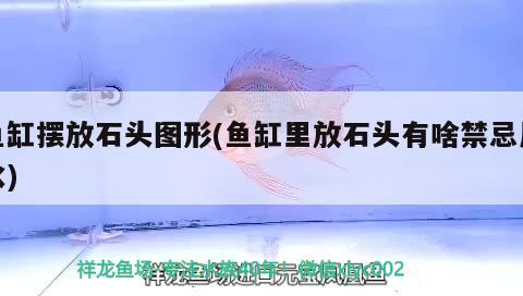 魚缸擺放石頭圖形(魚缸里放石頭有啥禁忌風(fēng)水) 魚缸風(fēng)水