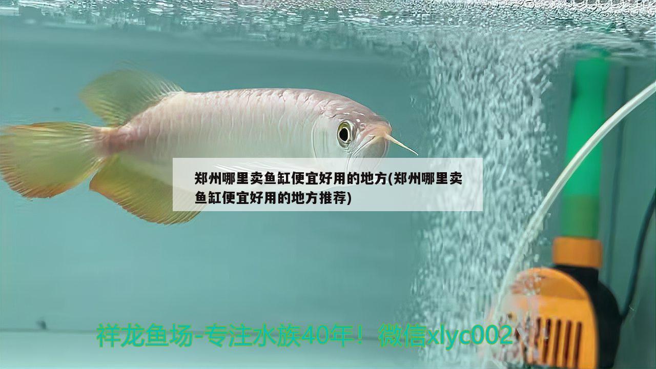 鄭州哪里賣魚(yú)缸便宜好用的地方(鄭州哪里賣魚(yú)缸便宜好用的地方推薦) 馬拉莫寶石魚(yú)