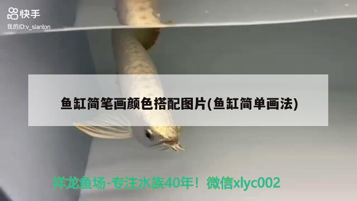 魚缸簡筆畫顏色搭配圖片(魚缸簡單畫法) 祥龍水族濾材/器材