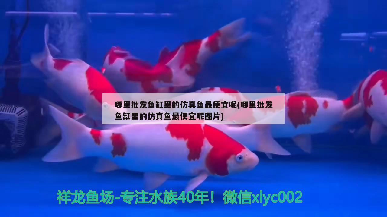 哪里批發(fā)魚缸里的仿真魚最便宜呢(哪里批發(fā)魚缸里的仿真魚最便宜呢圖片)