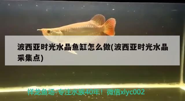 波西亞時光水晶魚缸怎么做(波西亞時光水晶采集點)