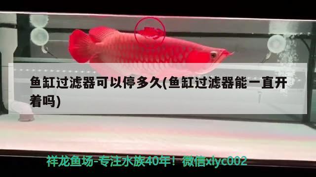 魚缸過濾器可以停多久(魚缸過濾器能一直開著嗎)