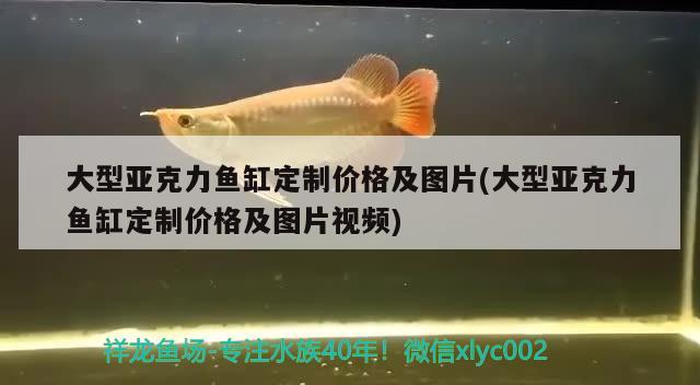 大型亞克力魚(yú)缸定制價(jià)格及圖片(大型亞克力魚(yú)缸定制價(jià)格及圖片視頻) 黃寬帶蝴蝶魚(yú)