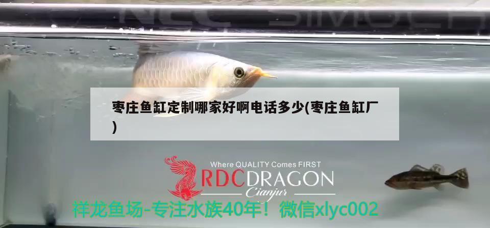 棗莊魚(yú)缸定制哪家好啊電話(huà)多少(棗莊魚(yú)缸廠(chǎng))