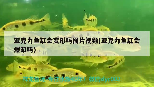 亞克力魚缸會(huì)變形嗎圖片視頻(亞克力魚缸會(huì)爆缸嗎)