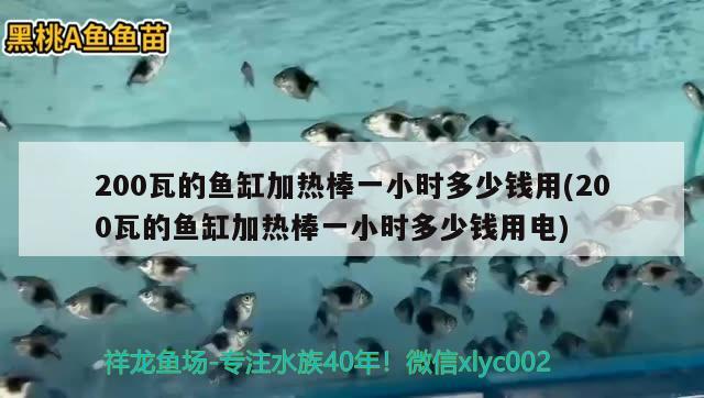 200瓦的魚缸加熱棒一小時(shí)多少錢用(200瓦的魚缸加熱棒一小時(shí)多少錢用電) 生態(tài)瓶/創(chuàng)意缸/桌面微景缸