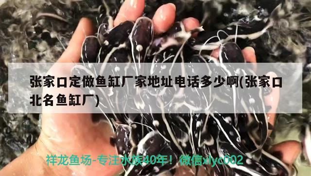 張家口定做魚缸廠家地址電話多少啊(張家口北名魚缸廠)